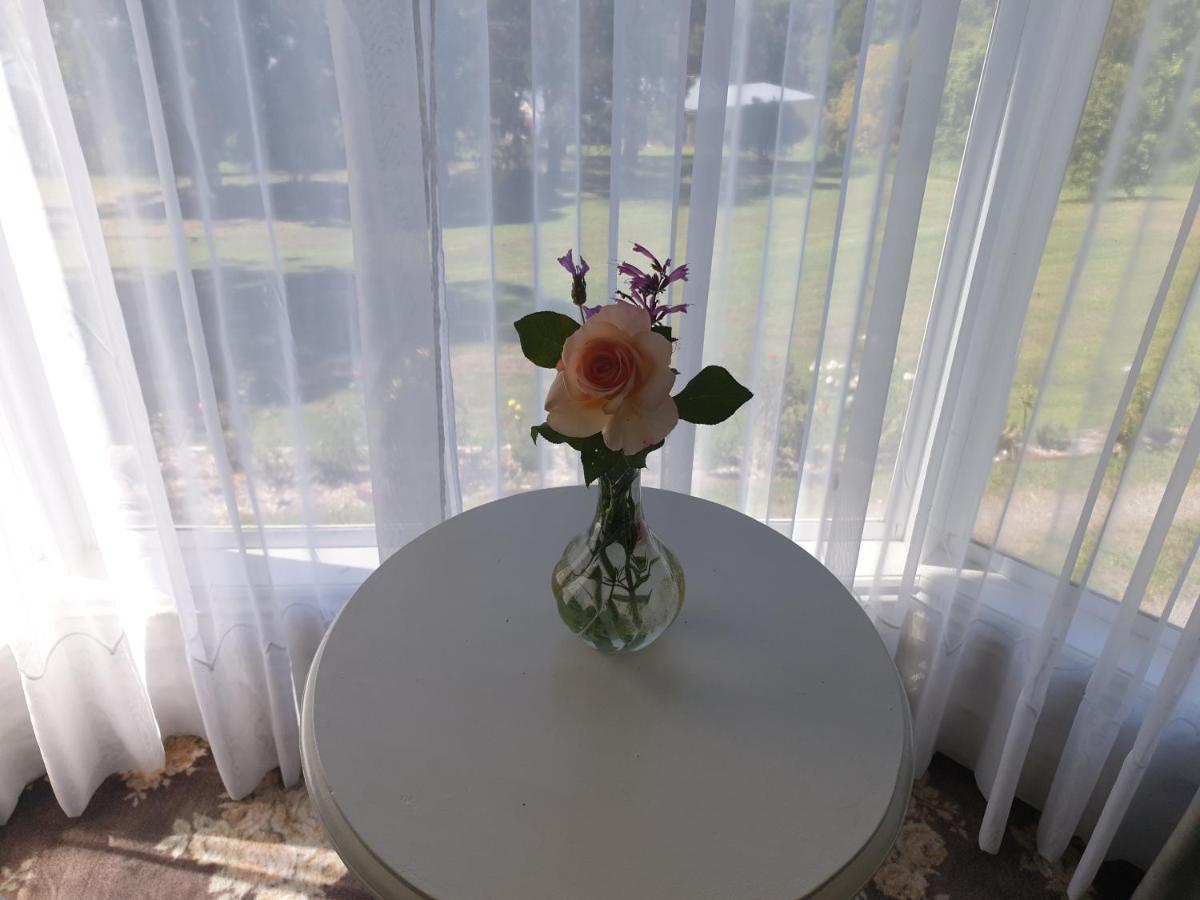 Rosebank Guesthouse 希尔斯维尔 外观 照片